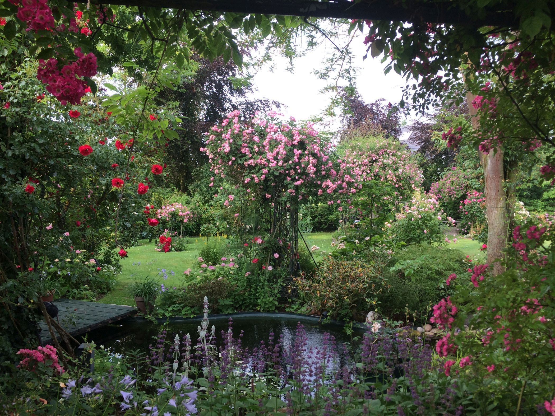 In Selm-Cappenberg lockt die üppige Blumenpracht in den Emtingshof der Familie Grubendorfer. Foto: LWL