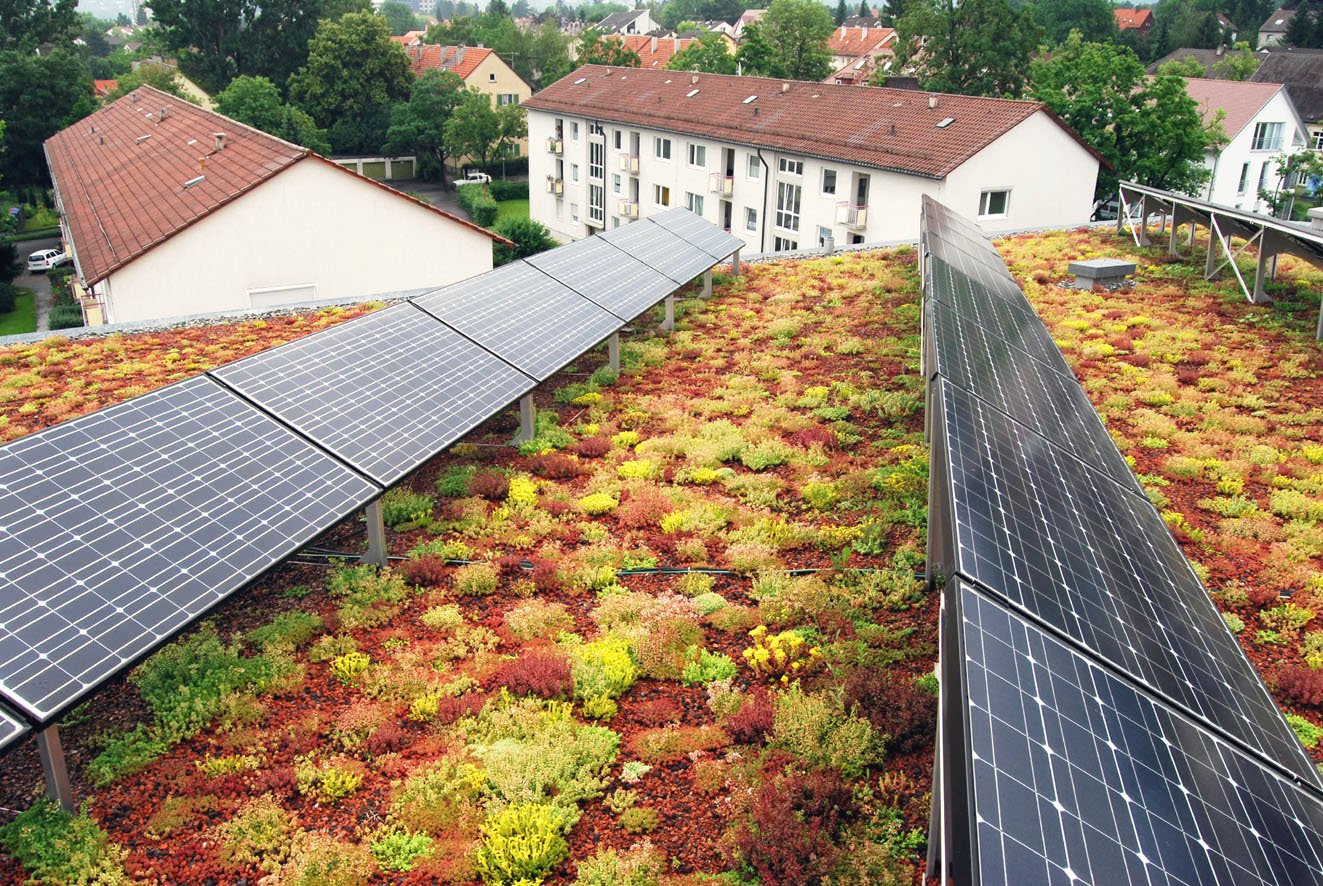 Solaranlage und Gründach sind ein prima Duo. Die Stadt Münster bezuschusst die Kombination von Photovoltaik-Anlagen und Dachbegrünungen. Foto: ZinCo Gmbh.