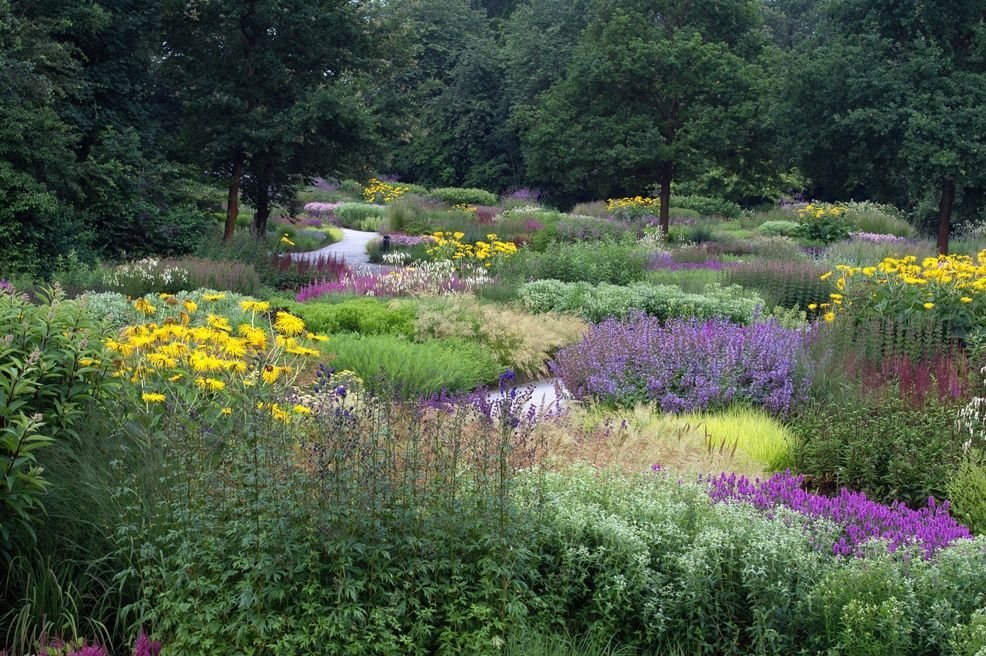 Einer der Höhepunkte im Maximilian-Park in Hamm ist der Piet-Oudolf-Garten. Foto: Frank-Bruse