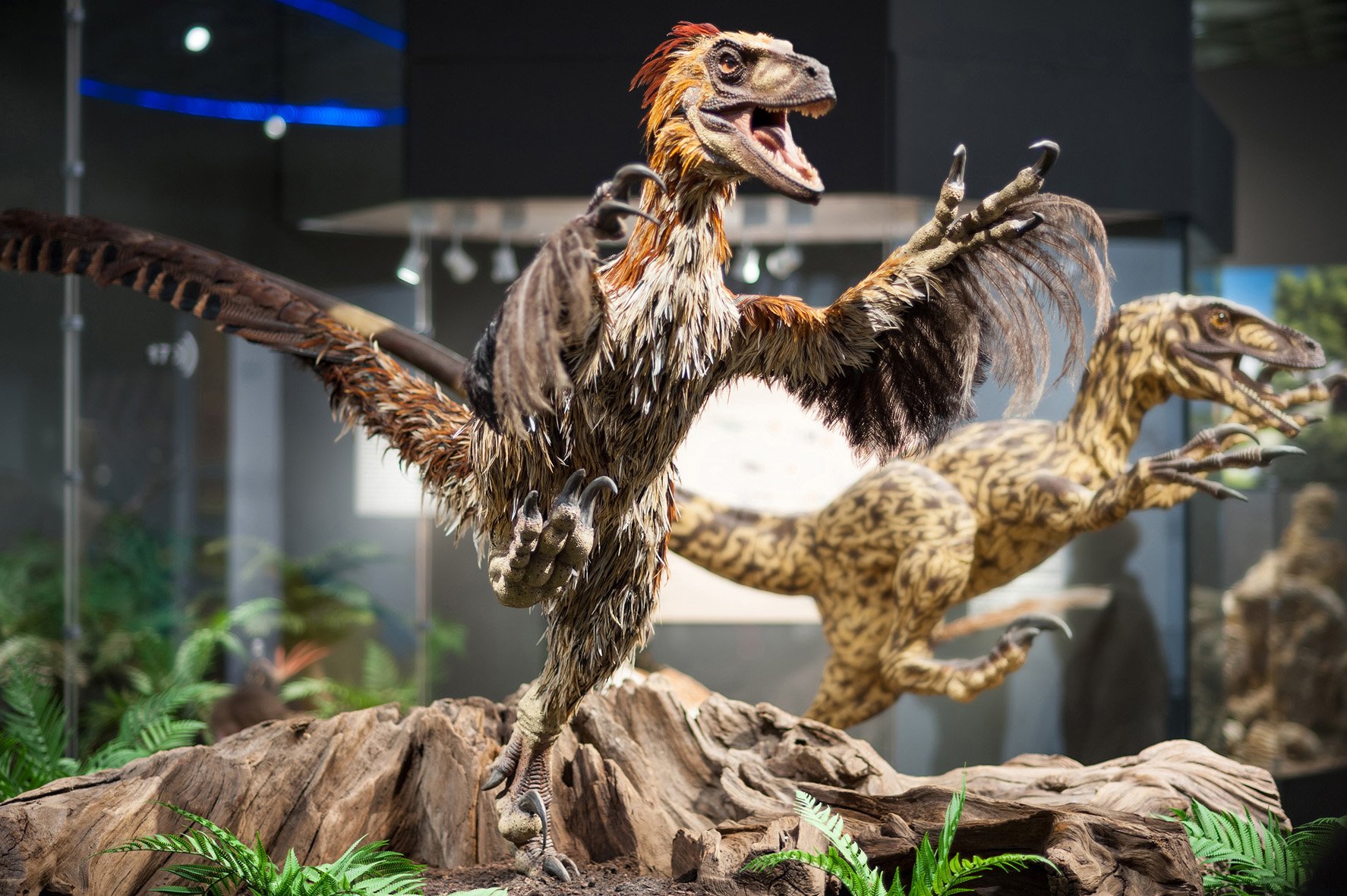 Heute präsentiert das LWL-Museum für Naturkunde zahlreiche Dauer- und Sonderausstellungen und ist für seine Dinosaurier-Ausstellung bei Groß und Klein bekannt. / Foto: LWL/Steinweg.