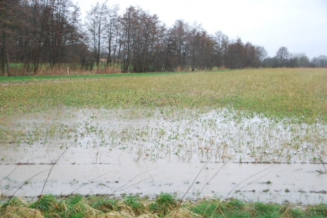 überschwemmter Acker in Nottuln/Bezirksregierung Münster