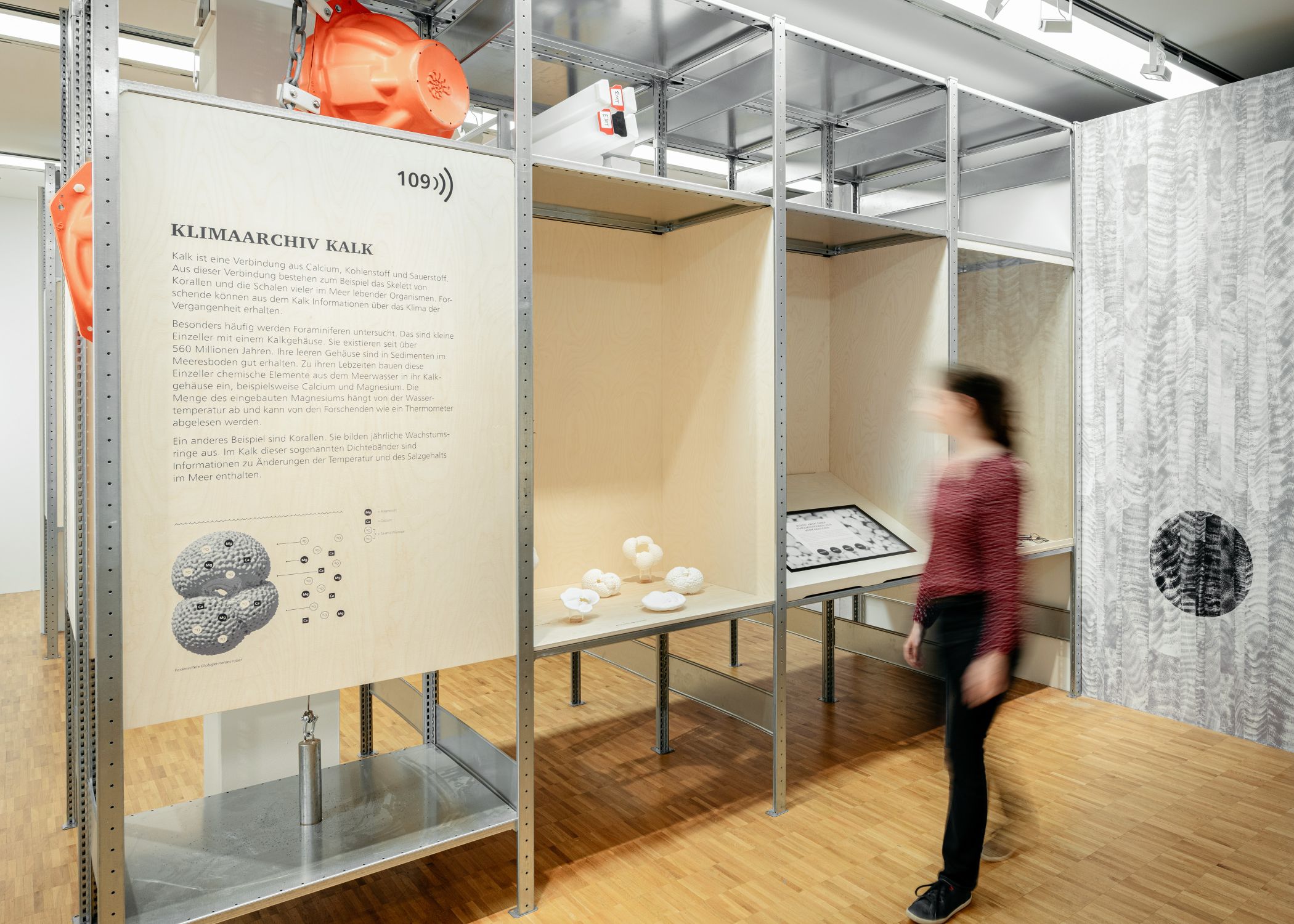 Für die Ausstellung wurden klimaschonende Materialien genutzt / LWL/Steinweg