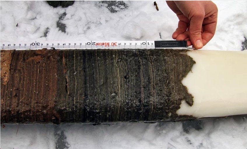 Bohrkern aus dem Crawford Lake: In dem kanadischen See verbinden sich bei Wärme Kalzium- und Karbonat-Ionen aus den Felsen im Wasser und kristallisieren zu kleinen Kalzitkristallen aus. Diese sinken langsam ab und bilden jeden Sommer eine weiße Schicht am Grund des Sees. Dadurch können die Forschenden genau feststellen, welches Jahr sie betrachten. Um das Jahr 1950 herum steigt der Anteil an Plutoniumteilchen in den Sedimenten deutlich an - ein klarer Hinweis auf menschliche Einflüsse und damit auf das Anthropozän.  © Tim Patterson